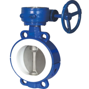 PTFE LINING BUTTERFLY VALVE